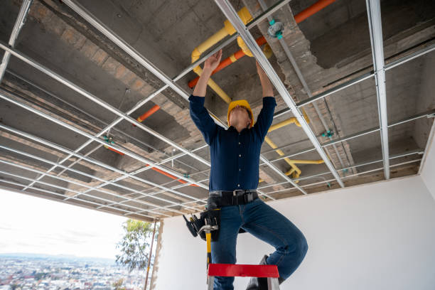 Best Same-Day Plumbing Service  in Brookfield, MO